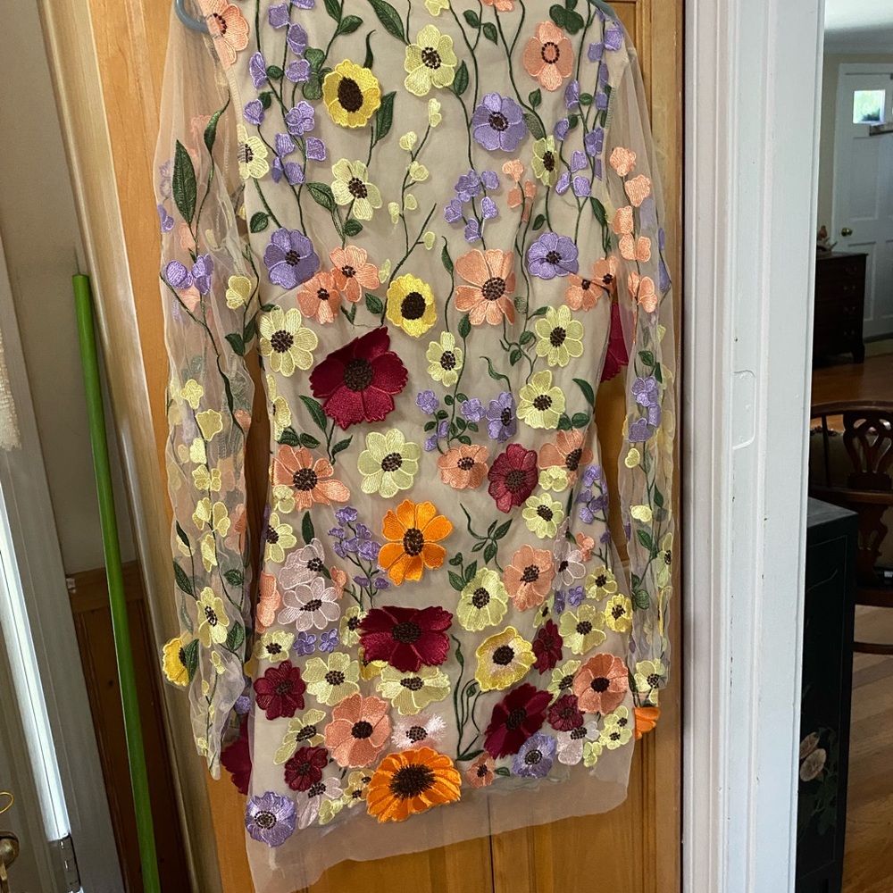 Floral Embroidered Sheer Dress